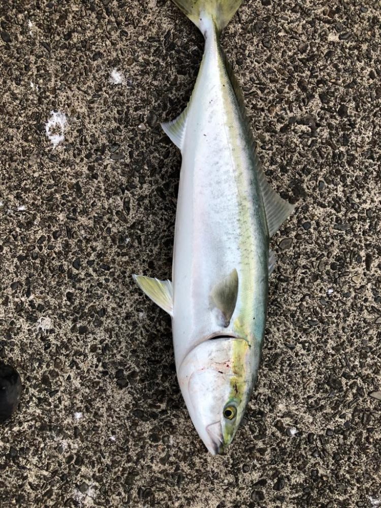 トップでヒット！