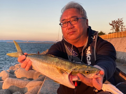 ハマチ後タチウオ