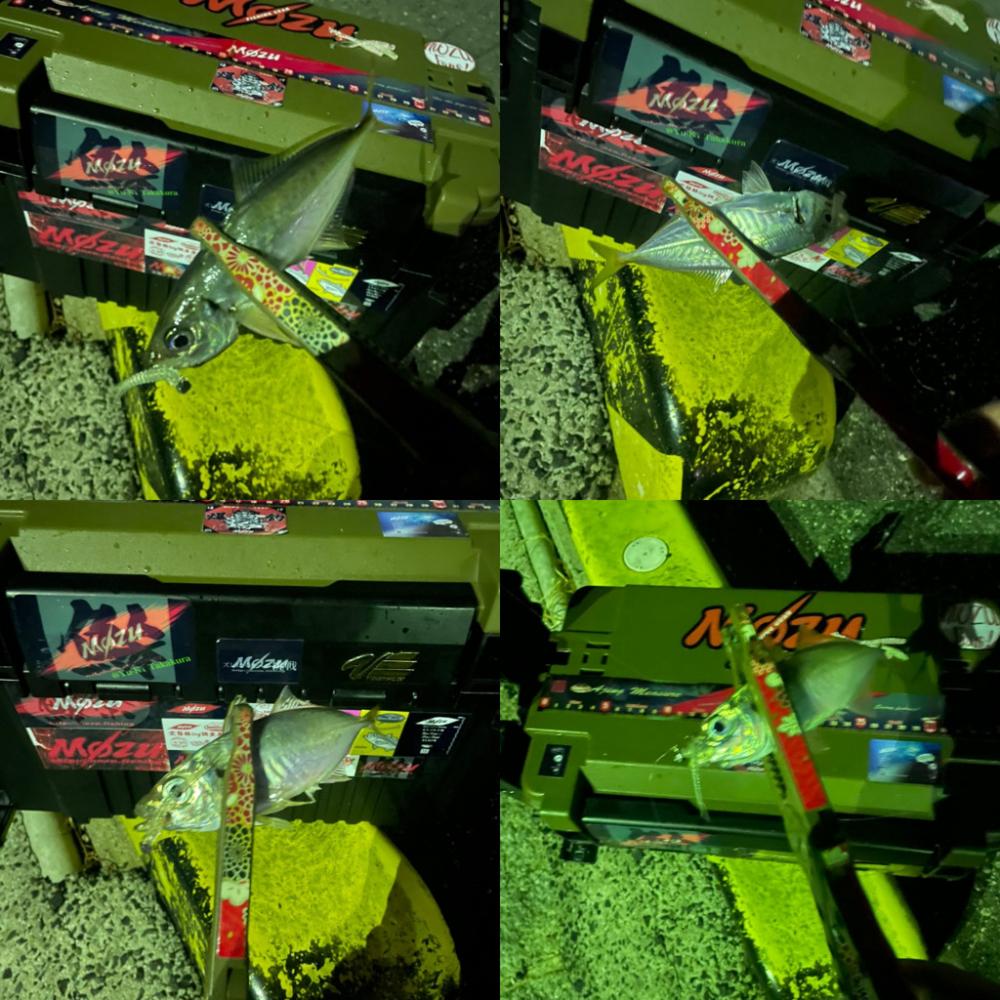 関門アジング10.22