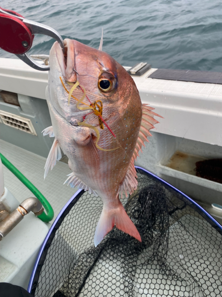 人生初タイラバ！