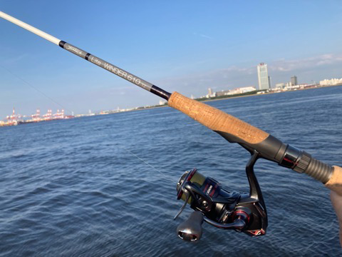 苦潮それとも・・・