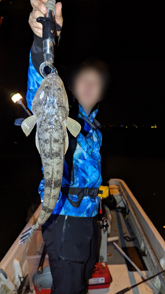 ボートシーバス