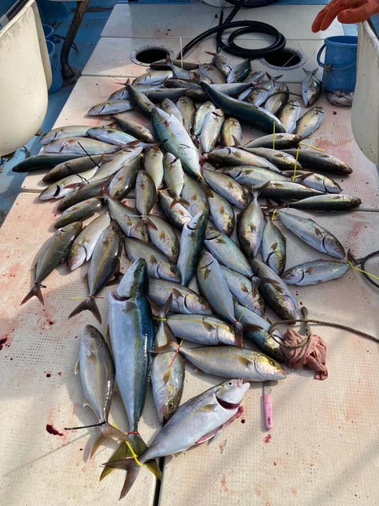 ネリゴジギング