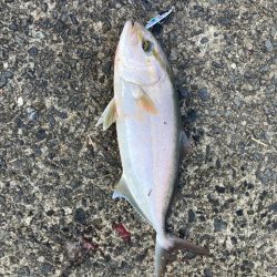 ショアジギング