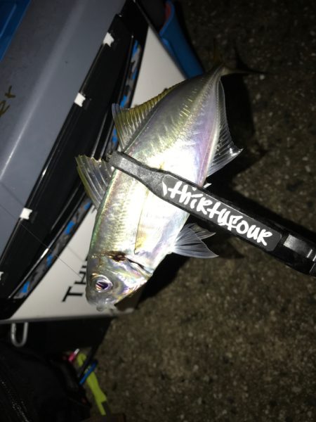 久しぶりの釣行