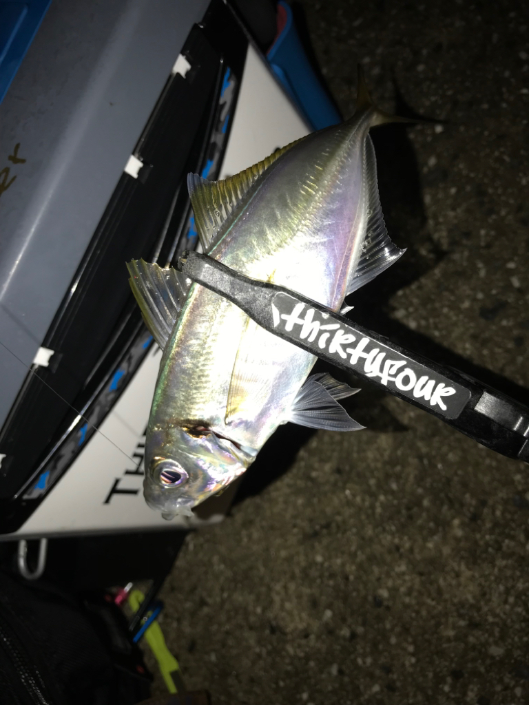 久しぶりの釣行