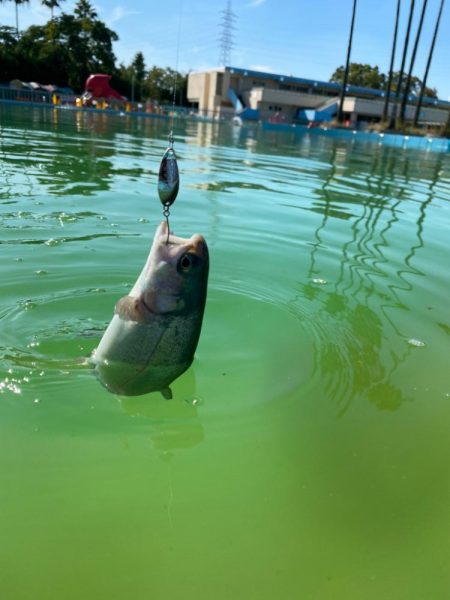 プレオープン　久宝寺緑地エリアトラウト