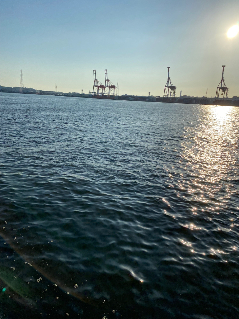 大阪湾奥LSJ メジロ回遊