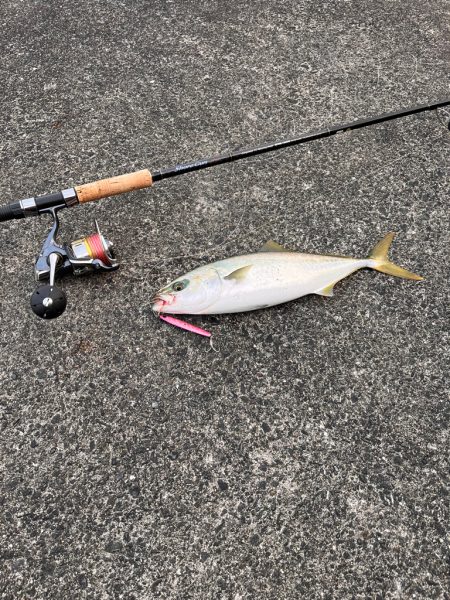 ショアジギング