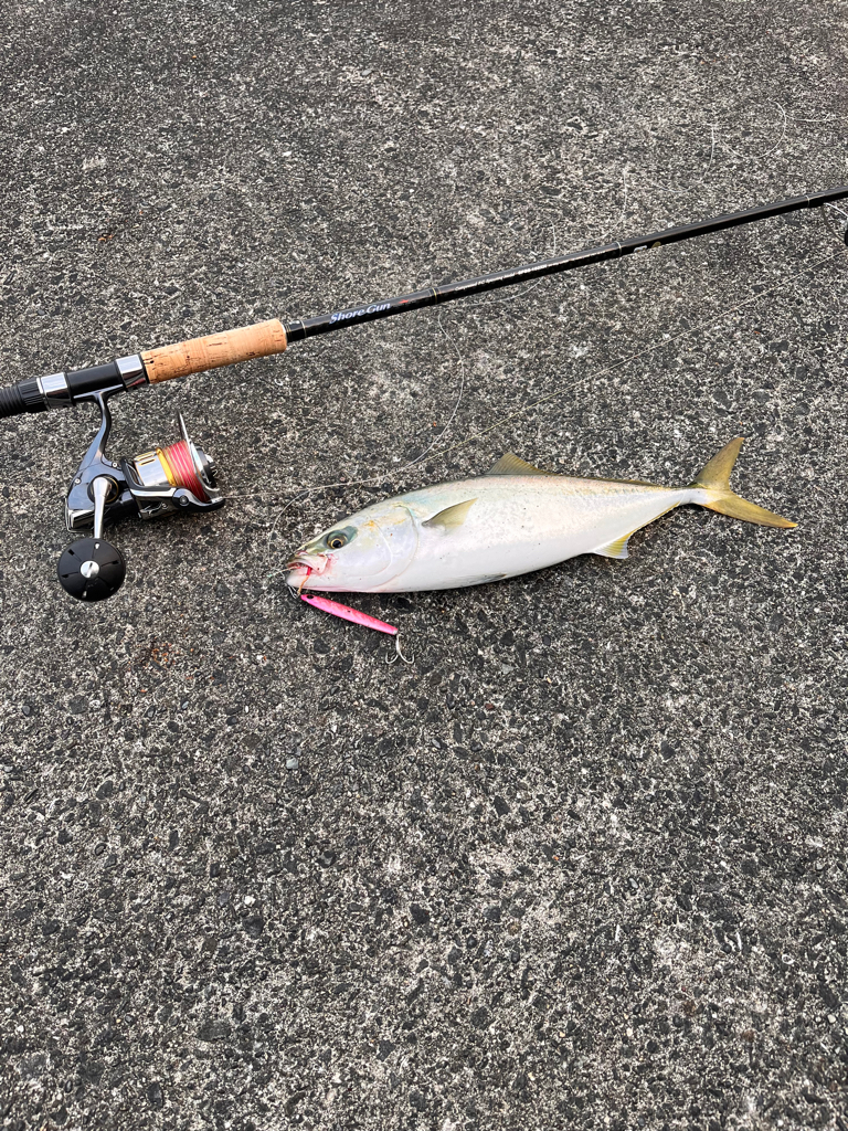 ショアジギング