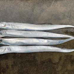 ぼちぼち、、⁉️…