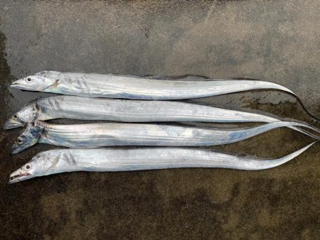 ぼちぼち、、⁉️…