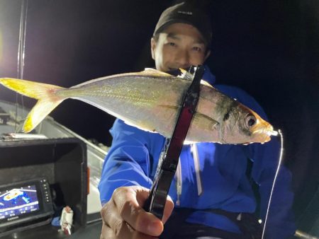 ナイトアジングゲーム