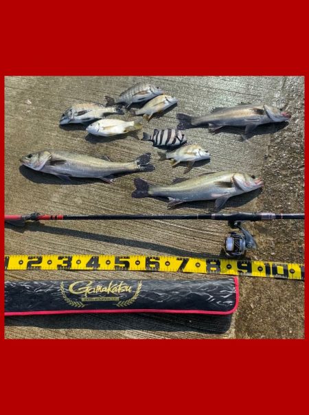 釣り始めから何度も小さいアタリ