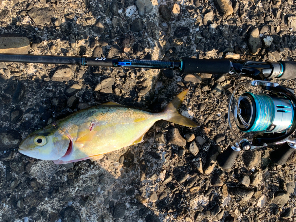 魚種は多いけども