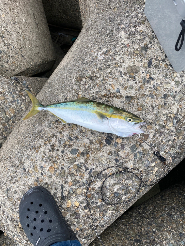 当たるけどなかなか乗らない