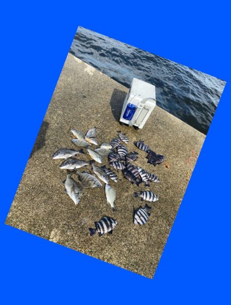 見えないですが確かに浅いタナで喰ってくる。…