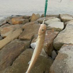 短時間ジギング