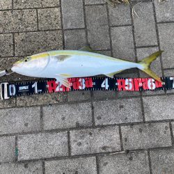 SWコスモ弍番隊〜ジャークな日々〜