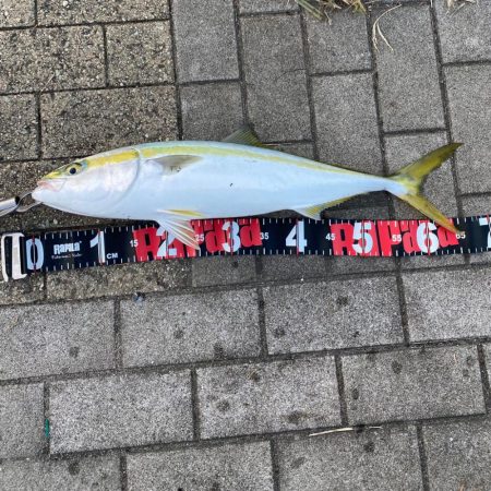 SWコスモ弍番隊〜ジャークな日々〜