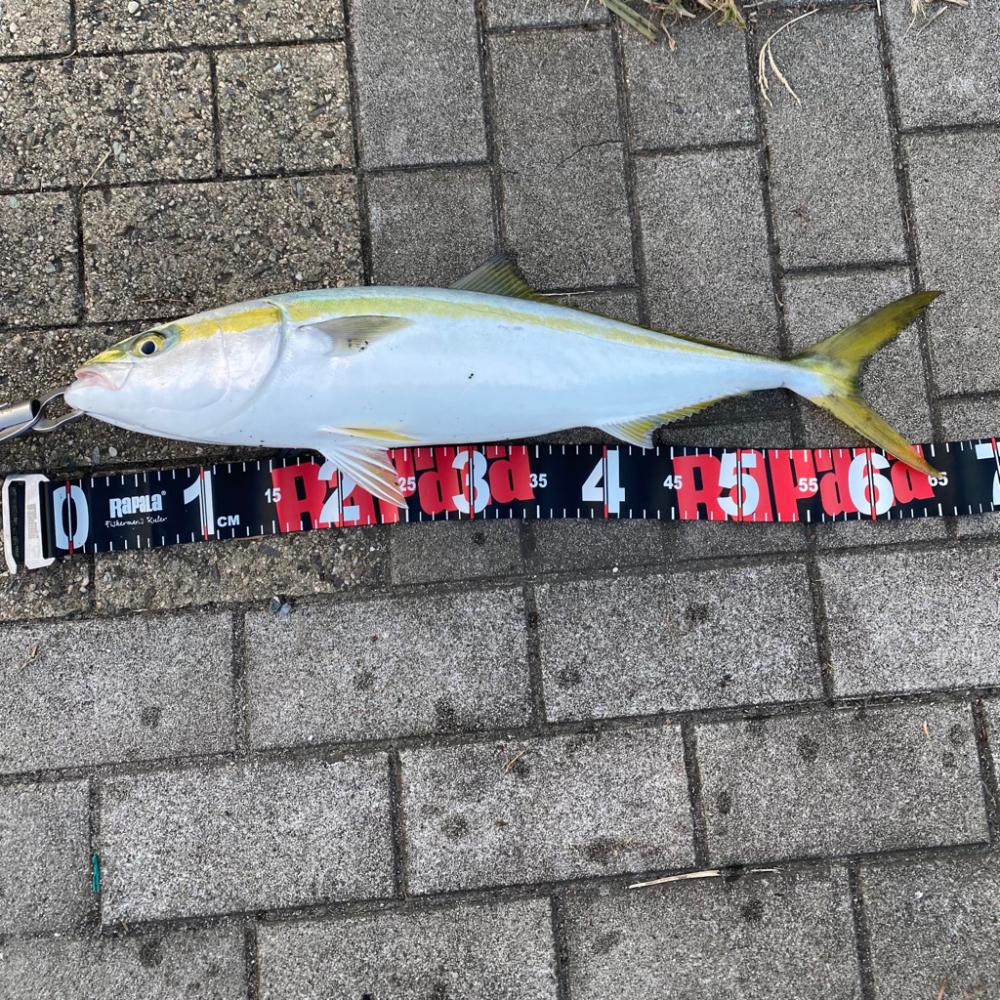 SWコスモ弍番隊〜ジャークな日々〜