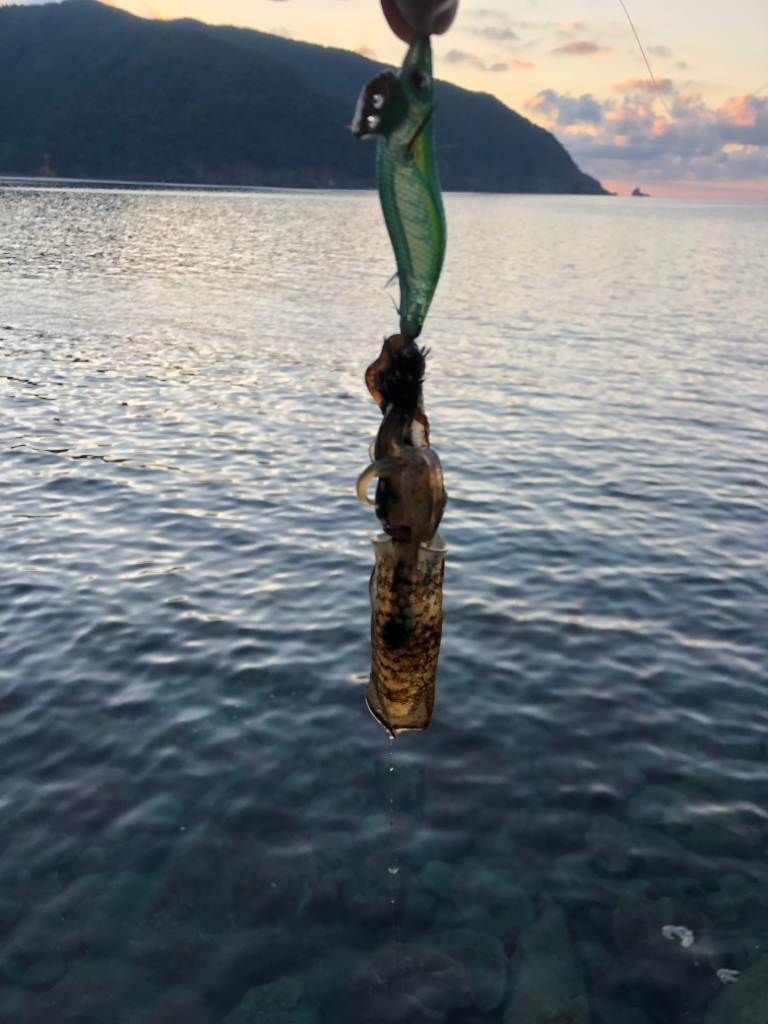 【若狭エリア】ランガン