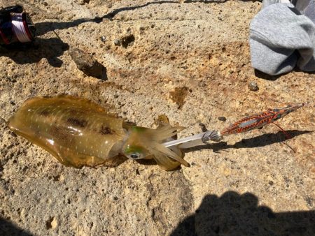 弾丸日本海ツアー