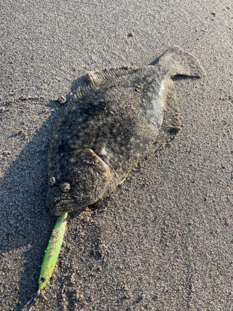 ソゲが遊んでくれました！