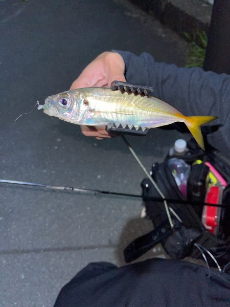 0.2gのジグヘッド