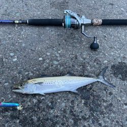 初めて竿を買った友達と