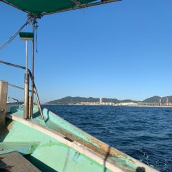 今年最後の船タチウオか？