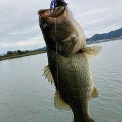 琵琶湖も一気に秋めいてきました
