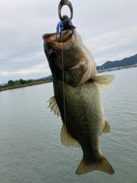 琵琶湖も一気に秋めいてきました