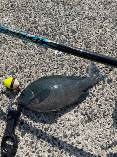 六連島でクロ釣り