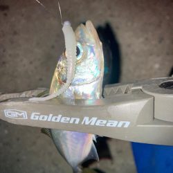 むずかしいアジング