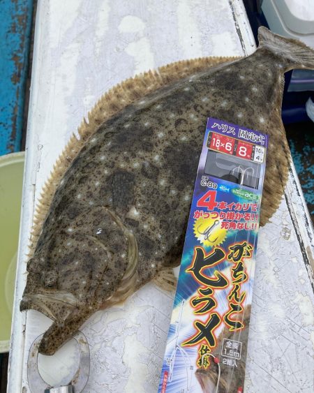 イワシ飲ませ釣り🎣