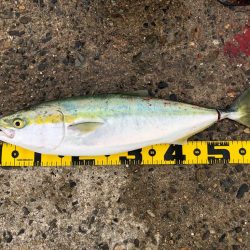 リベンジマッチ！