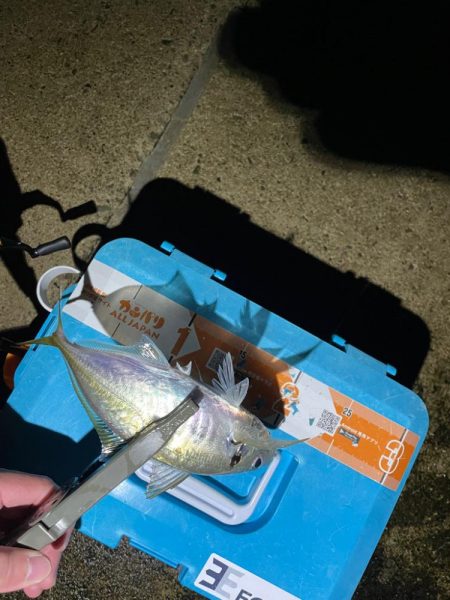 いいサイズでした。