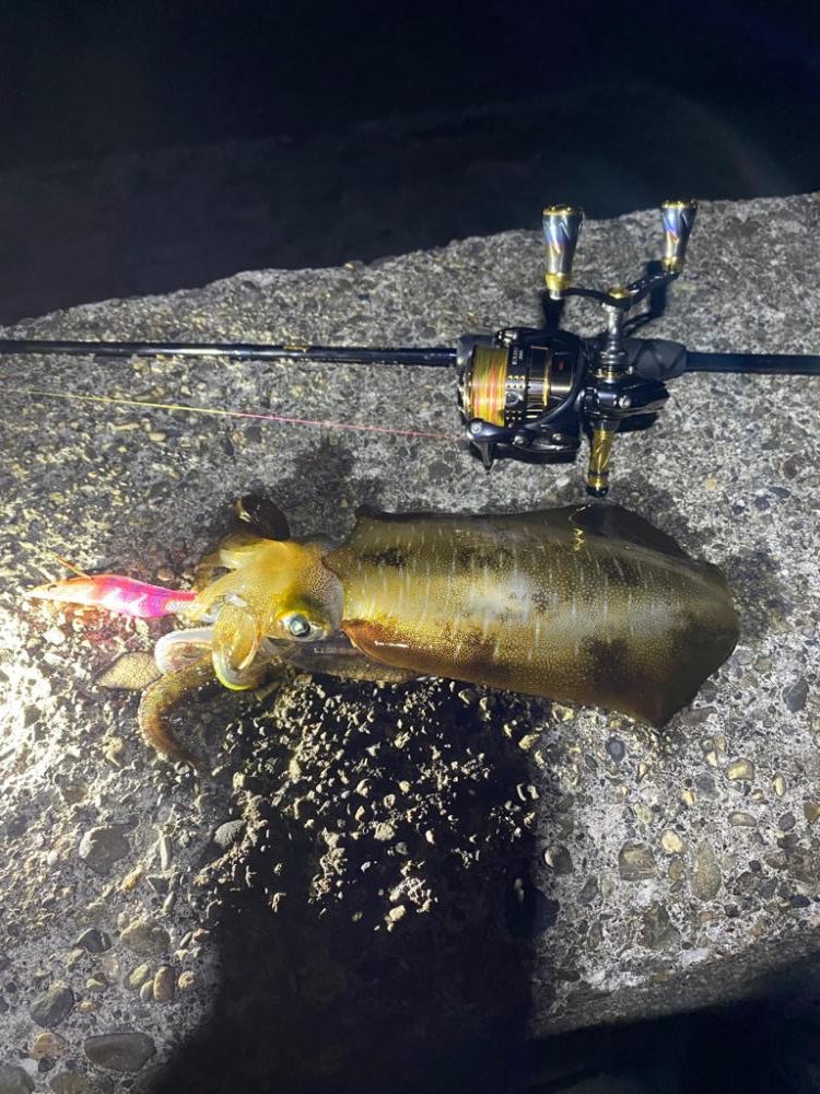 育ってきたねぇ♪