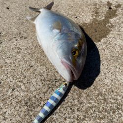 ライトショアジギング