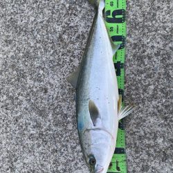 激渋の中の1本、、