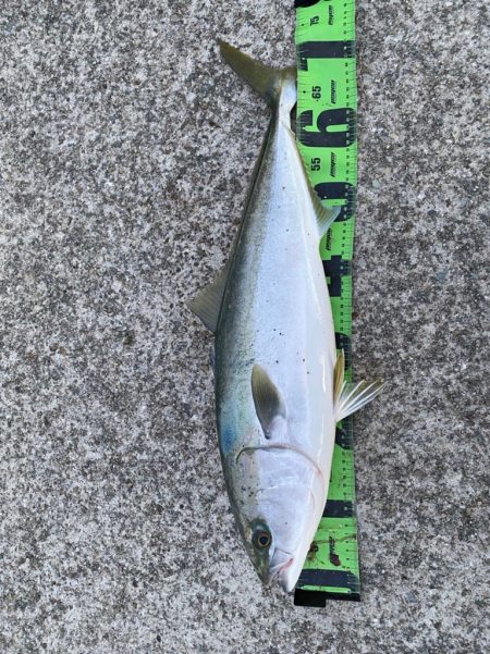 激渋の中の1本、、