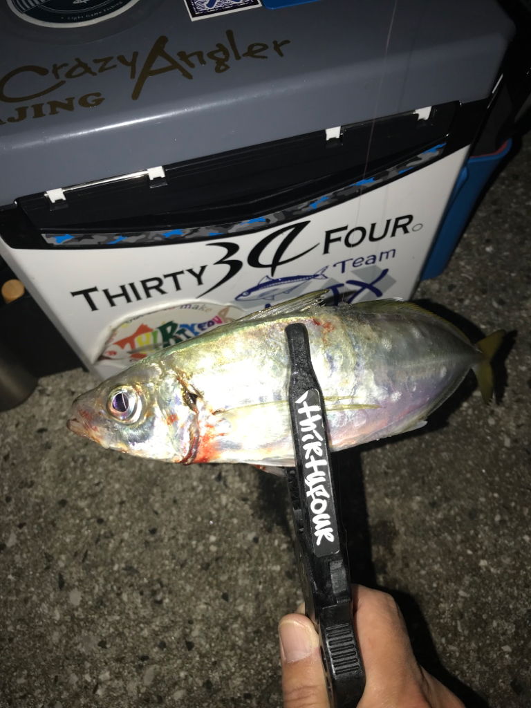 毎週末のルーティン