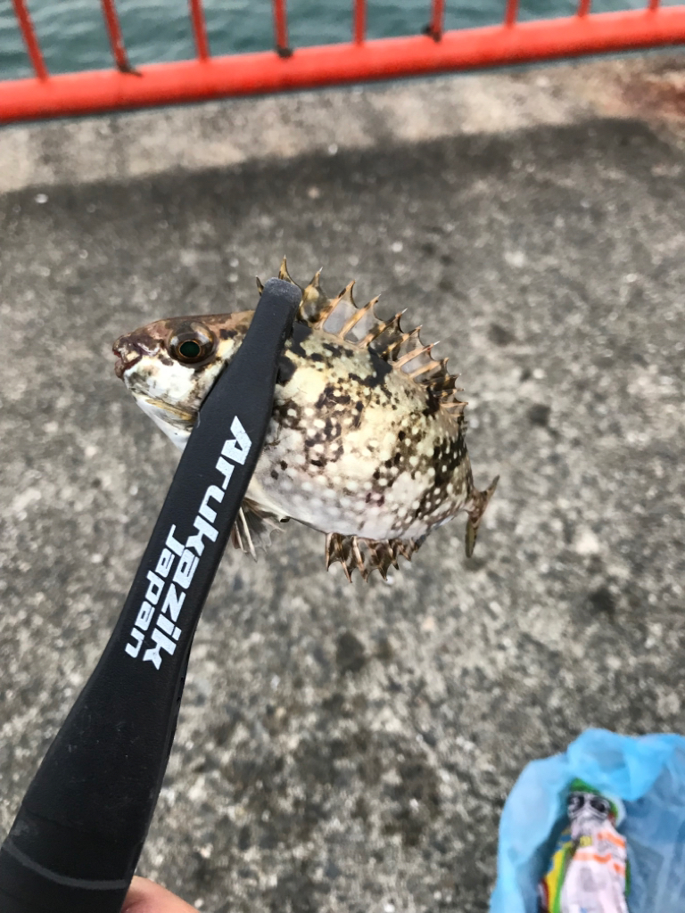 平磯海釣り公園