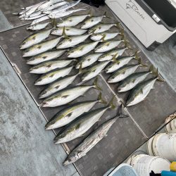 明石沖青物ジギング