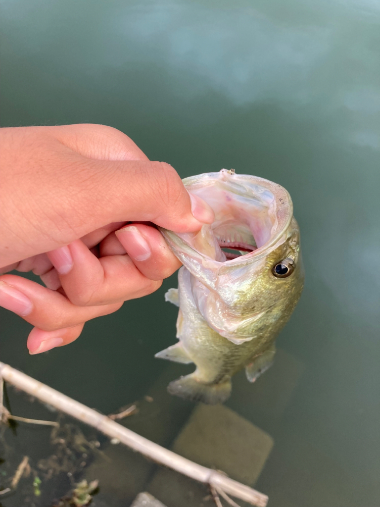 津風呂湖おっかパリ