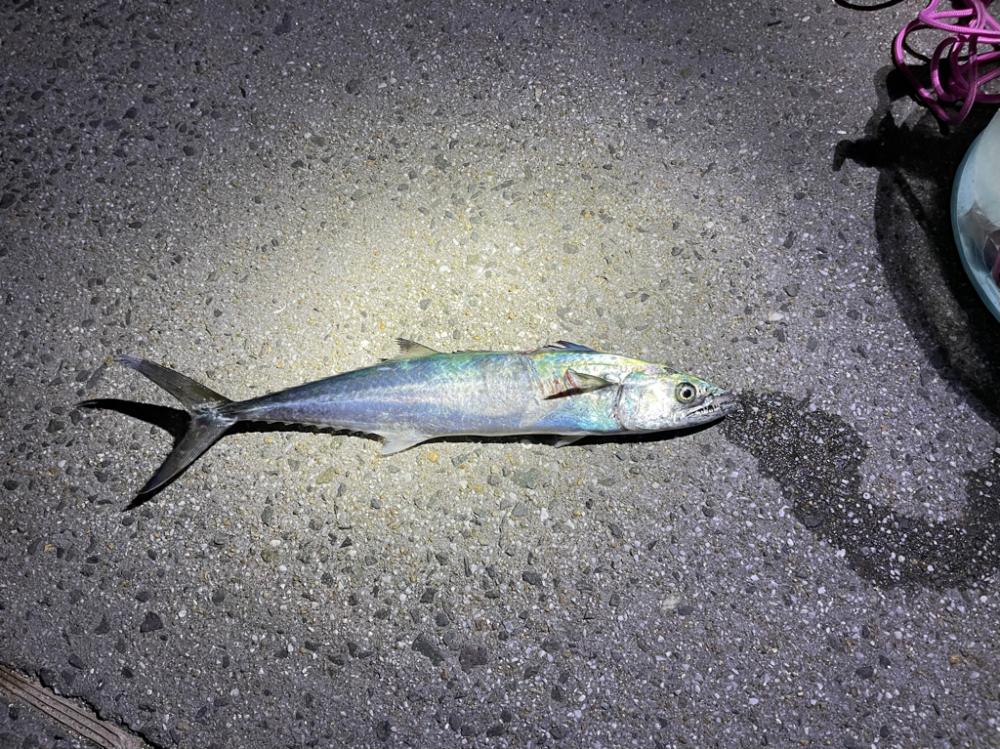 親友カップルと釣り