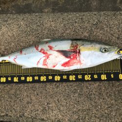 自己記録更新✌️