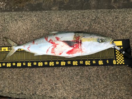 自己記録更新✌️…