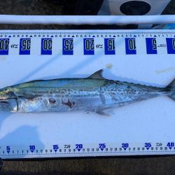 雨でも青物祭り〜